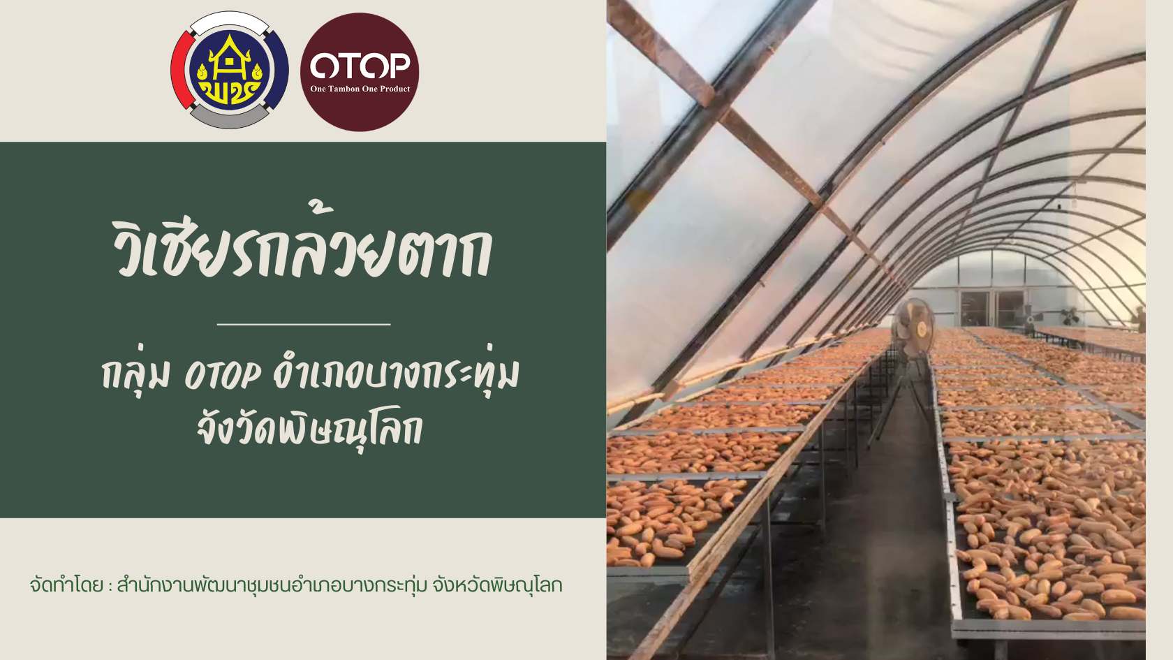 พช.บางกระทุ่ม ขอประชาสัมพันธ์วีดิทัศน์ "กลุ่ม OTOP : กลุ่มวิเชียรกล้วยตาก" อำเภอบางกระทุ่ม จังหวัดพิษณุโลก ซึ่งเป็นงานเด่น 10x10 อำเภอบางกระทุ่ม จังหวัดพิษณุโลก ตามนโยบายอธิบดีกรมการพัฒนาชุมชน